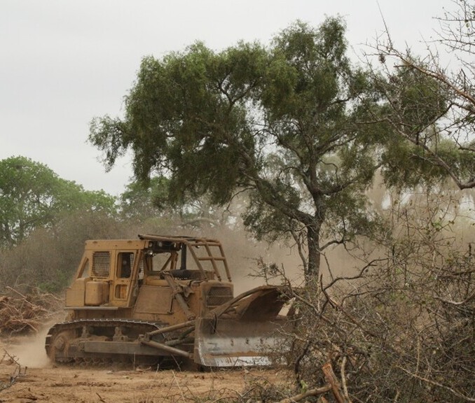 Picture of a flat excavator levelling the forest floor